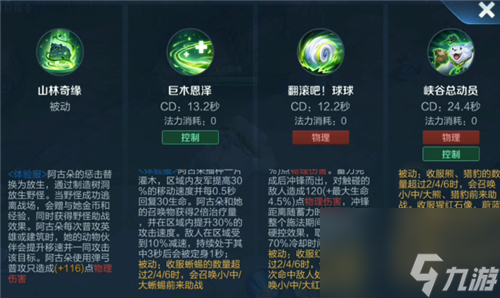 王者荣耀阿古朵极致输出装备方案分享