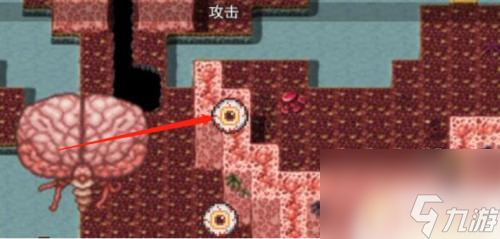 泰拉瑞亚如何快速找蜂王 泰拉瑞亚蜂王控制方法
