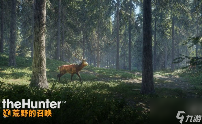 《猎人荒野的召唤》怎么养猎 养猎攻略方法详情