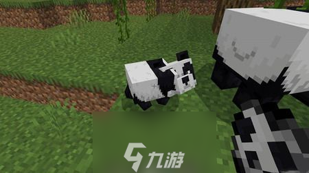 我的世界粘液球怎么得到-粘液球获取方法介绍