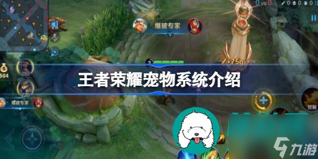 王者荣耀宠物系统都有哪些作用-王者荣耀宠物系统详细作用一览