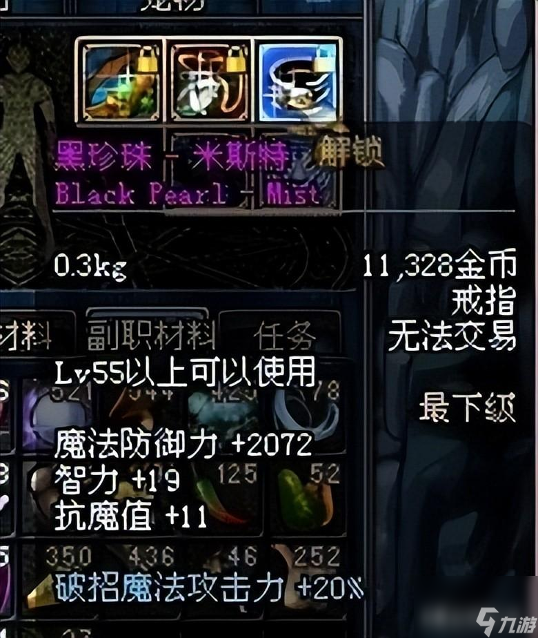 dnf黑珍珠米斯特和艾尔文哪个好（黑珍珠米斯特适合哪个职业）