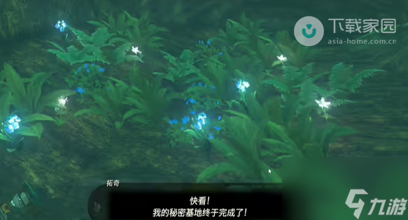 塞尔达传说王国之泪德库树长老是秘密基地任务完成方法