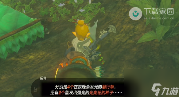 塞尔达传说王国之泪德库树长老是秘密基地任务完成方法