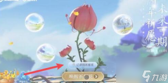 王者荣耀祈愿花使用方法
