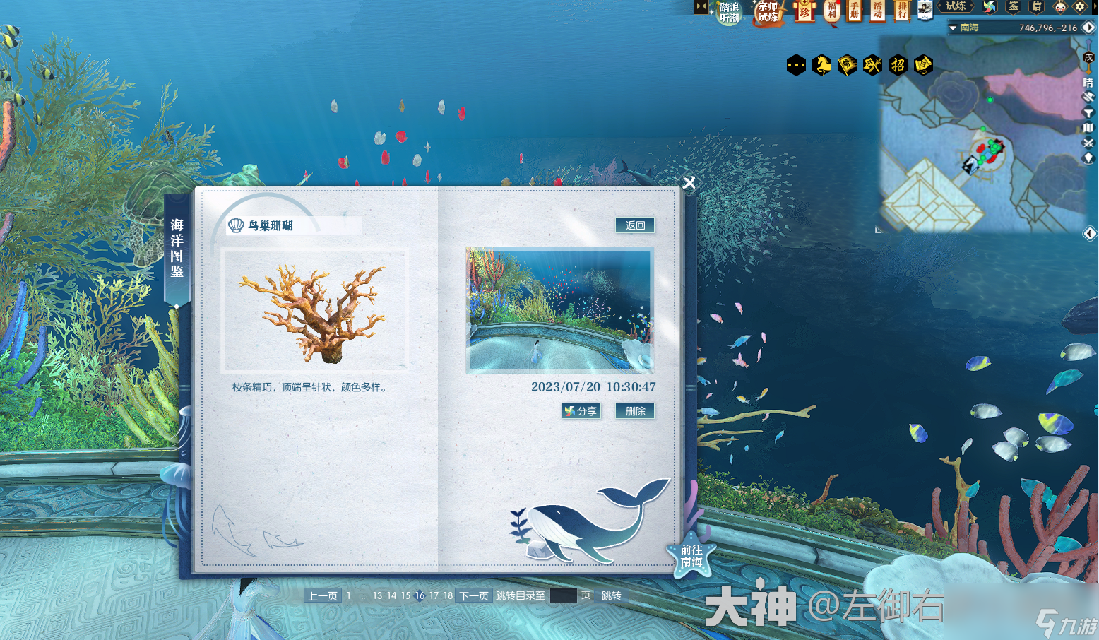 逆水寒鸟巢珊瑚在哪