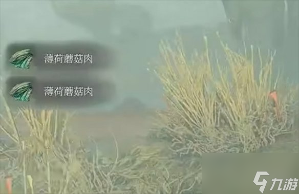《雾锁王国》薄荷蘑菇肉介绍