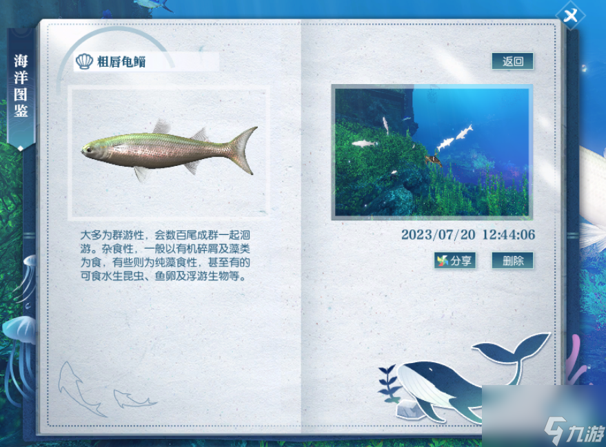 逆水寒粗唇电鲻位置介绍