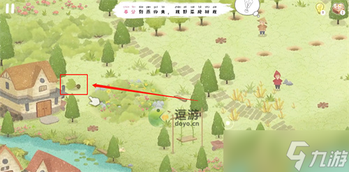 四季之春树苗在哪里