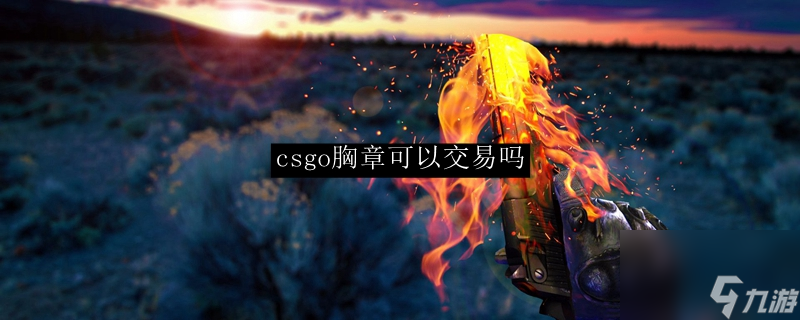 csgo胸章可以交易嗎