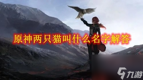 原神两只猫叫什么名字解答