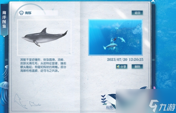 《逆水寒》海豚位置介绍