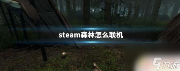 steam森林怎么进入 Steam森林联机游戏教程