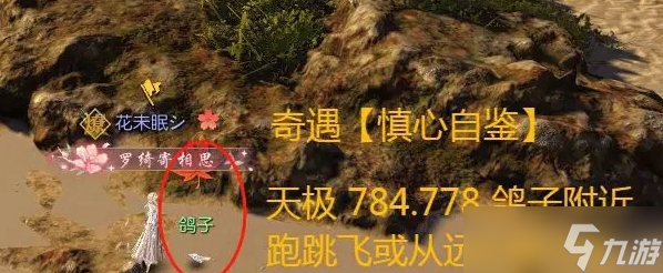 逆水寒手游天极岛新增奇遇一览