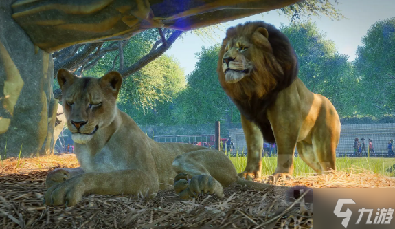 動物園之星一共多少種動物 動物種類有哪些