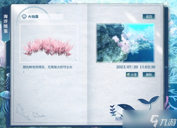 逆水寒手游火焰藻位置坐標(biāo)位置一覽
