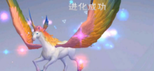 创造与魔法独角兽进阶材料有哪些