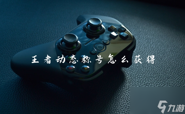 王者动态称号怎么获得