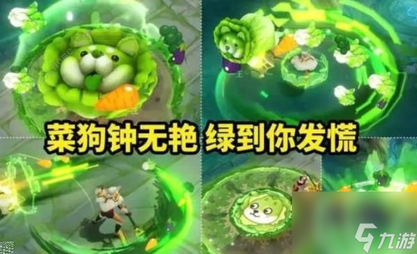 王者荣耀钟无艳蔬菜狗皮多少钱？钟无艳蔬菜狗皮价格详解。