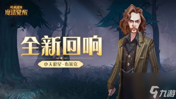 哈利波特魔法觉醒小天狼星布莱克回响效果一览