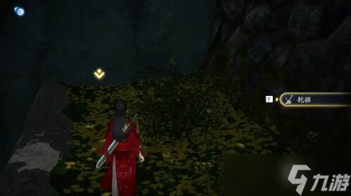 射雕搜奇藏宝图宝箱位置大全