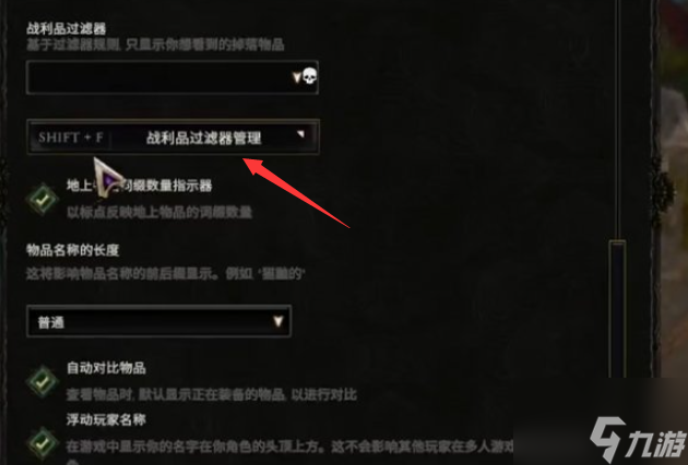 最后纪元术士过滤器怎么导入