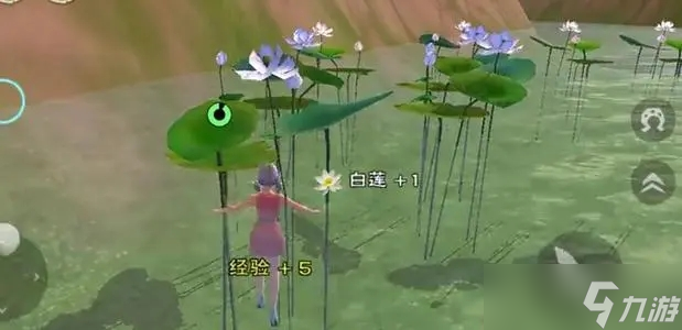 创造与魔法莲子羊汤配方怎么制作