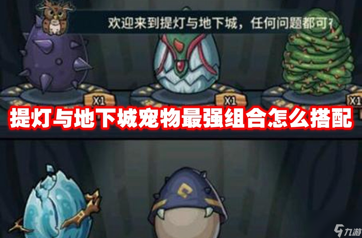 提灯与地下城宠物最强组合怎么搭配