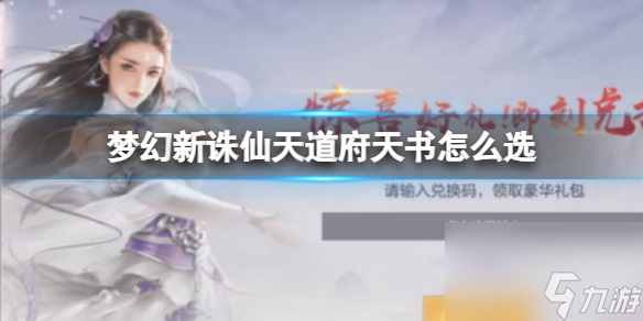 梦幻新诛仙天道府天书怎么选