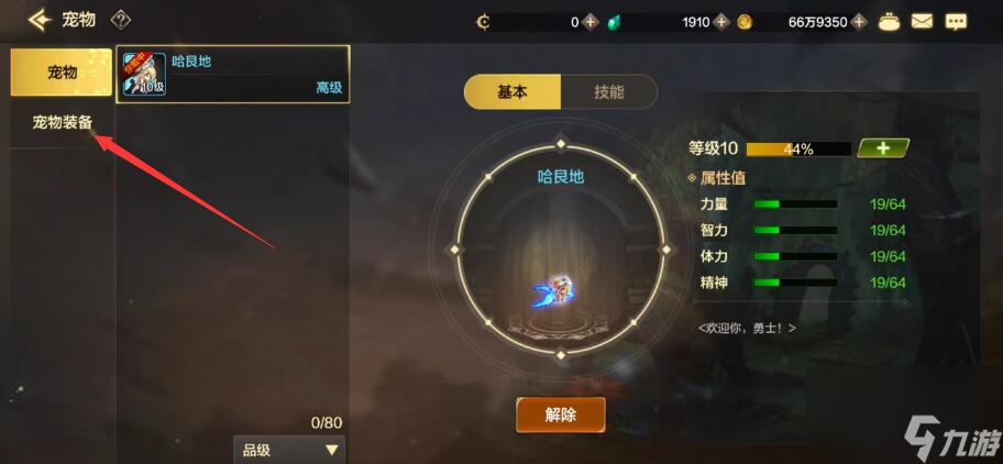 《DNF手游》宠物装备获取攻略一览