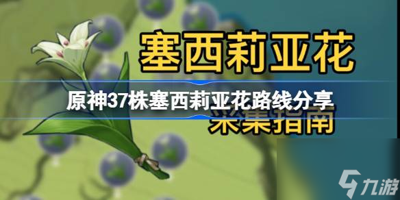 原神4.4塞西莉亚花全采集路线 原神37株塞西莉亚花路线推荐