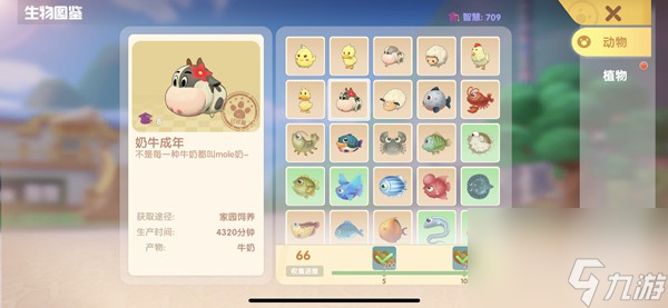 摩尔庄园星座巧果饼干做法推荐