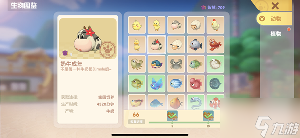 摩尔庄园星座巧果饼干怎么做 摩尔庄园手游星座巧果饼干食谱介绍