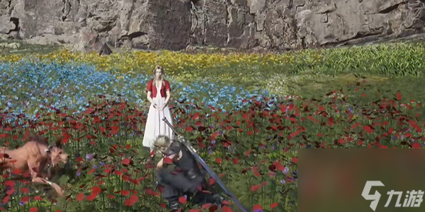 FF7重生山丘上绽放的花怎么做,最终幻想7重生山丘上绽放的花攻略