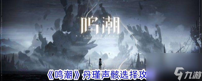 《鸣潮》丹瑾‌声骸选择攻略