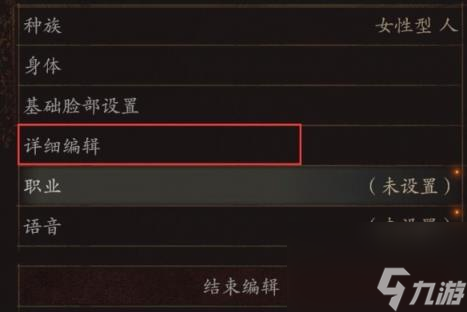 龙之信条2捏脸界面功能介绍