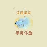 桃源深处有人家谢小伍喜欢什么 谢小伍喜好一览