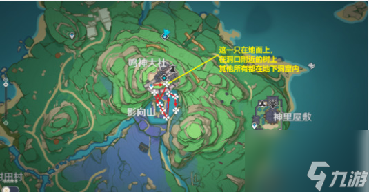 原神鬼兜虫采集路线