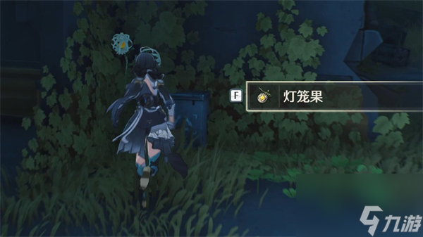 鸣潮灯笼果在哪