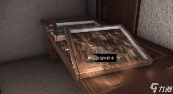 《孙美琪疑案12》三级线索枯萎植物标本位置分析