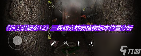 《孙美琪疑案12》三级线索枯萎植物标本位置分析