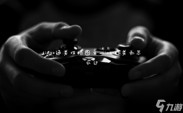 limbo通關攻略圖文 limbo25關卡怎么過