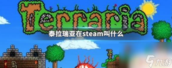 泰瑞利亚steam 泰拉瑞亚steam版多少钱