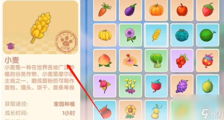 《摩尔庄园》浆果烧饼食谱