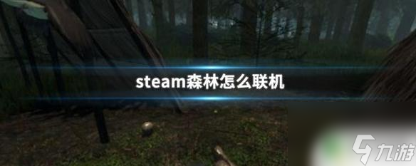 正版森林steam聯(lián)機教程 Steam森林聯(lián)機模式操作指南