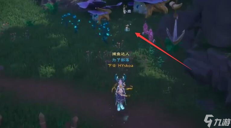 塔瑞斯世界迷霧森林寶箱位置大全