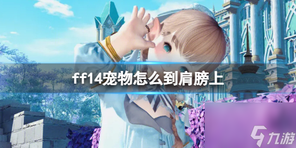 ff14宠物到肩膀上的教程