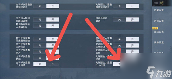 和平精英不让别人看战绩设置攻略