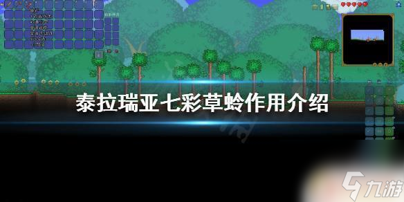 泰拉瑞亚丽的草蛉是什么 七彩草蛉有什么作用