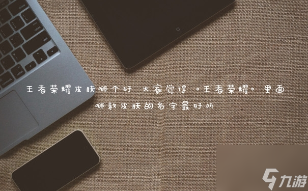 王者荣耀皮肤哪个好 大家觉得《王者荣耀》里面哪款皮肤的名字最好听